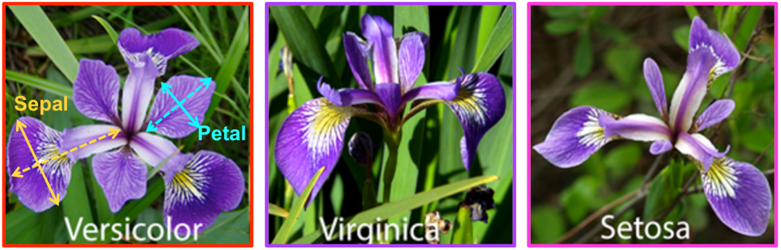 Implementasi Deep Learning Menggunakan Convolutional Neural Network ...