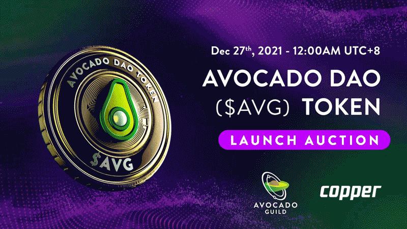 $AVG Token Launch Auction: Everything You Need to Know About Avocado DAO’s IDO