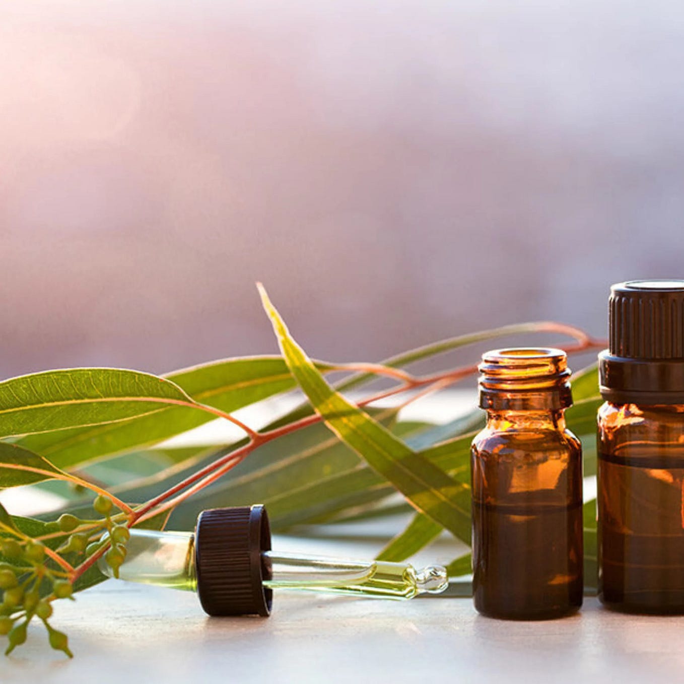 Eucalyptus Oil For Colds and Flu. I had a serious chest infection and