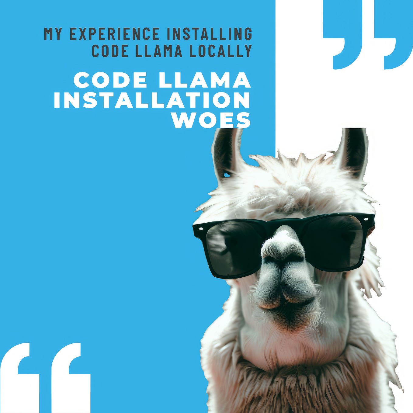 I Wanted to Install CODE LLaMA LOCALLY! Here’s What happened…