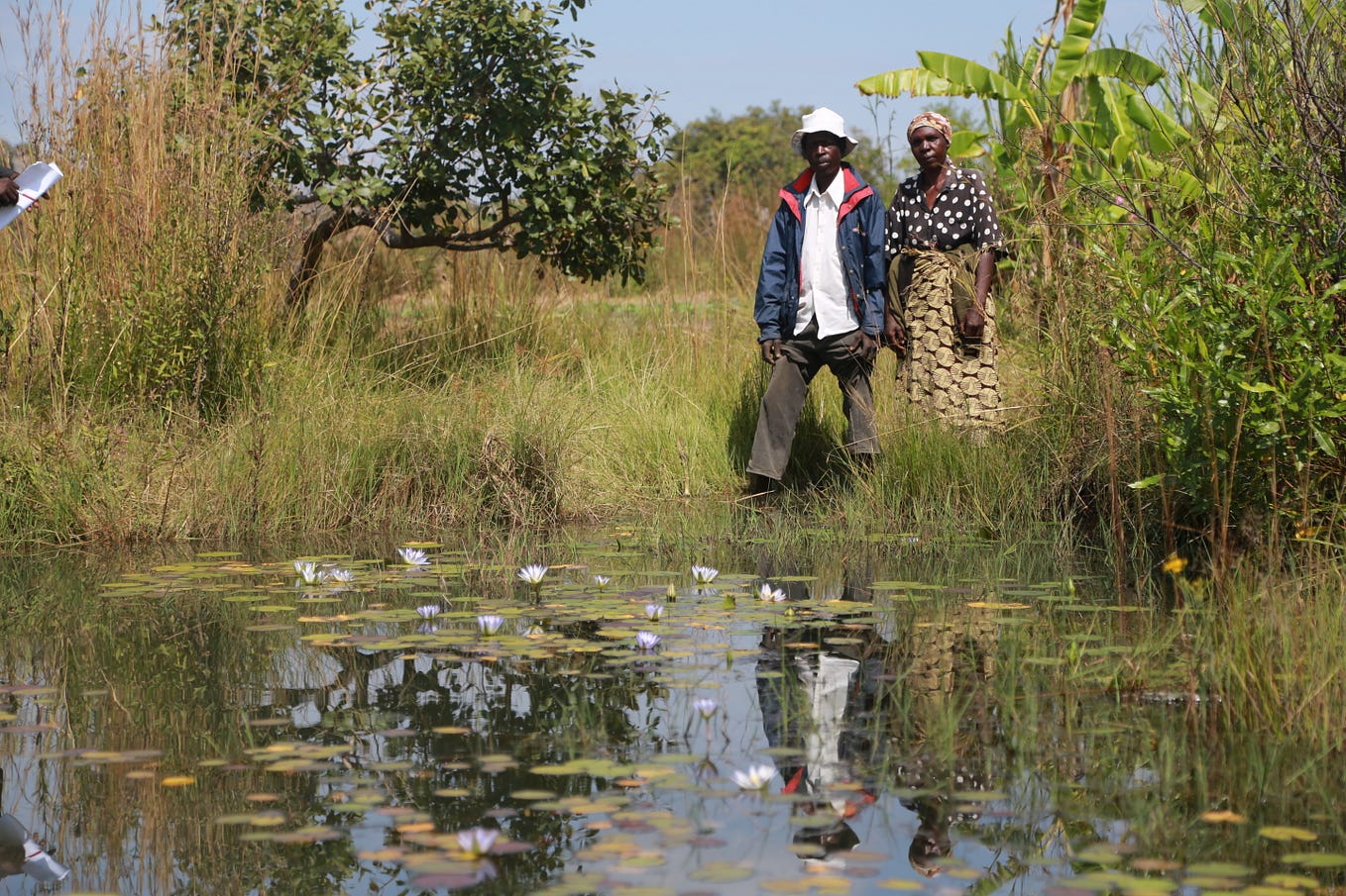 Understanding the importance of Zimbabwe’s wetlands