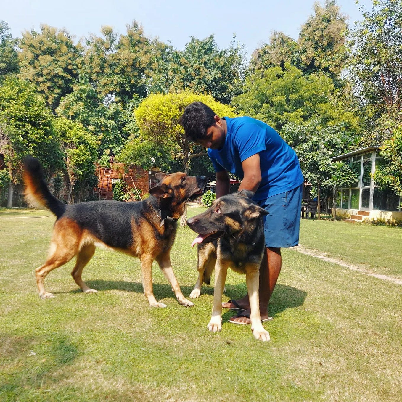 Groom your Dog with best facilities in Gurgaon by