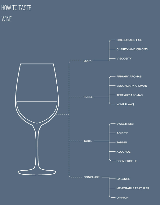 Wine 101 Styles of Wine — White Wine by ℤ Sep, 2024 Medium