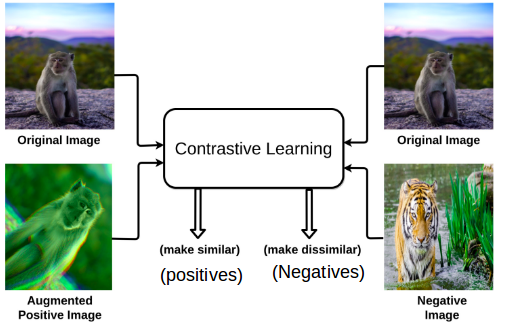 Easily Explained: Momentum Contrast for Unsupervised Visual ...