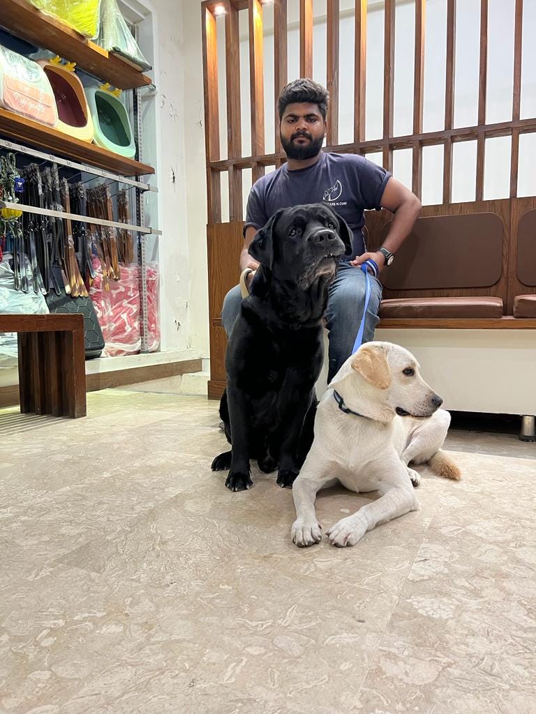 Pets Boarding Karachi Petscarencure Medium