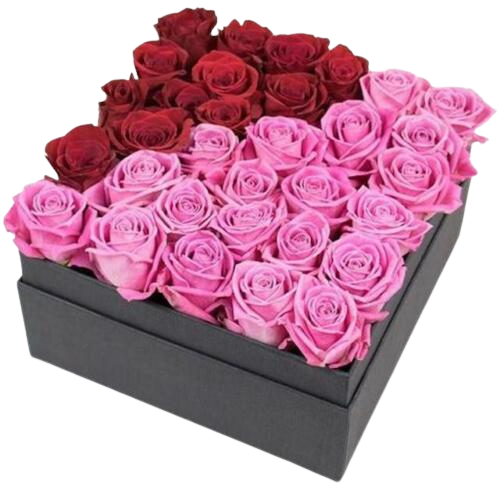 How Do I Choose the Best Roses for Mother’s Day? by Envie Roses