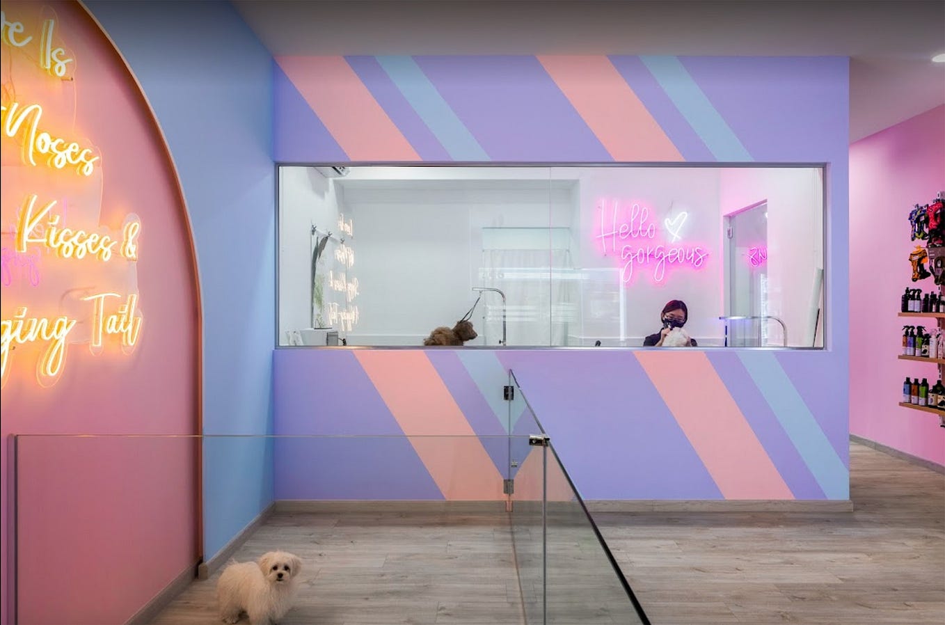 Dog Daycare Singapore Thepuplife sg Puplifethe Medium dog-daycare-singapore-thepuplife-sg-puplifethe-medium