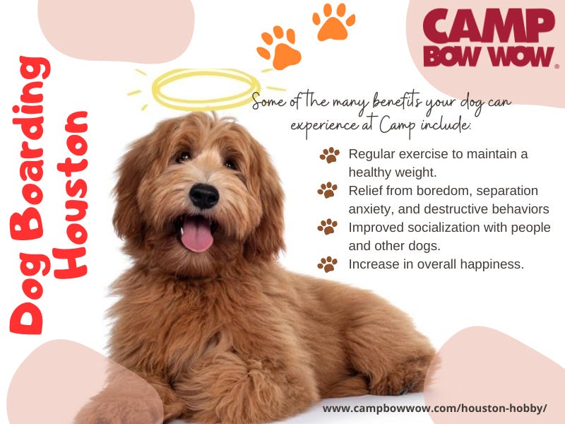 Dog Boarding Houston. Elevate Your Dog’s Stay Discover What… by Camp Bow Wow Houston Hobby