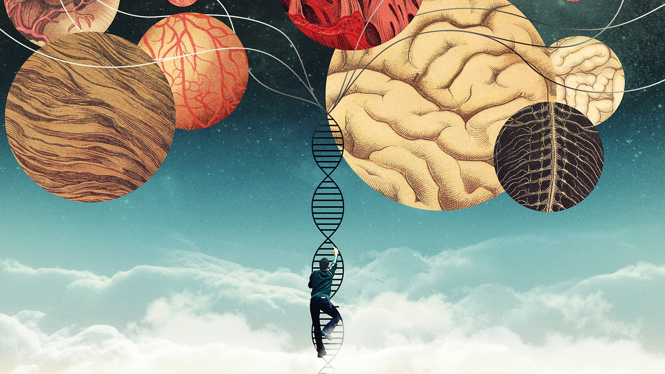 Introduction to Genetic Algorithms: Python | Example | Code ...