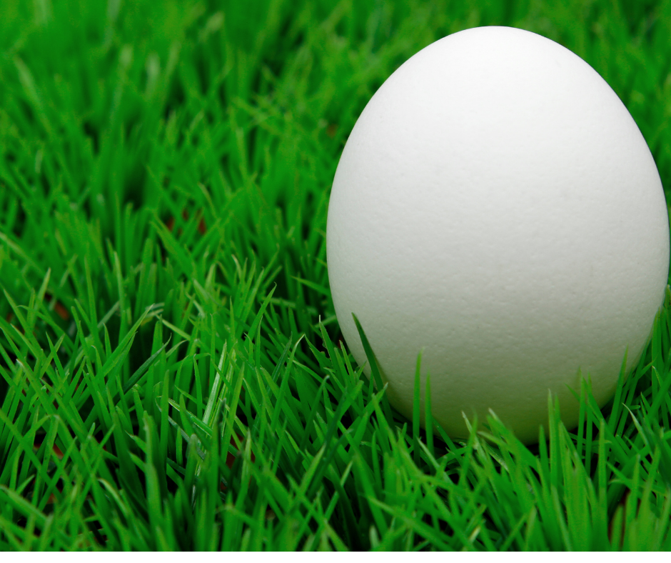 How Hot Does Artificial Grass Get in the Sun? by Edwin Knight Jul