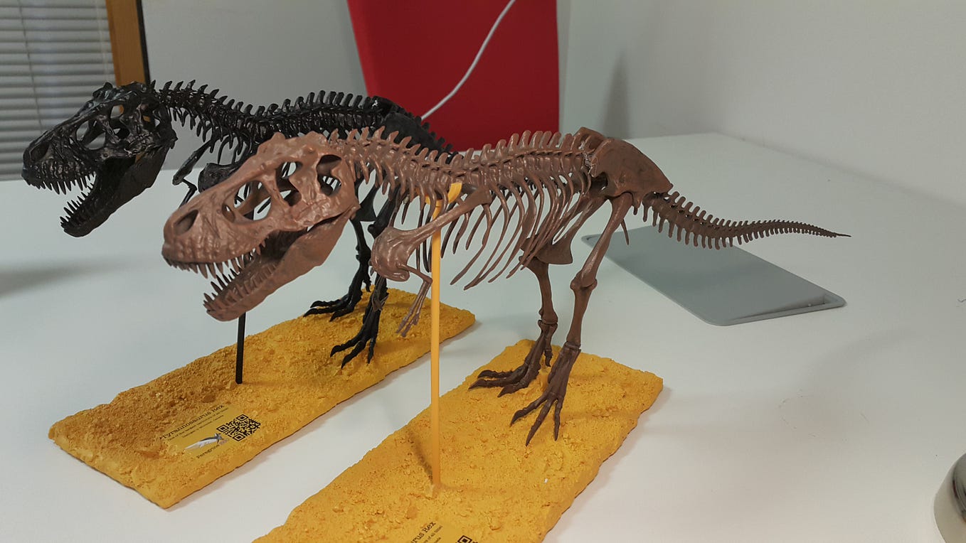 Jurassic Fossils — Realistic, high quality Dinosaur Fossils by