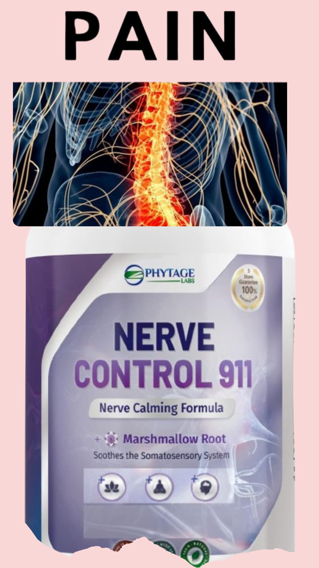 How Nerve Control 911 Works A Deep Dive by Nervecontrol May, 2024