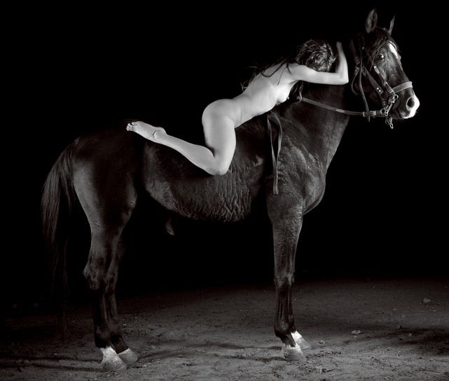 Female Orgasms on Horseback