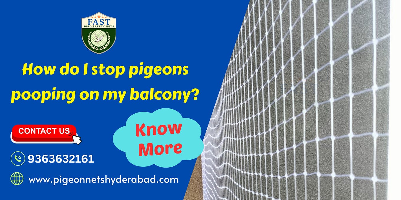 How Much Does Pigeon Net Installation Cost? A Comprehensive Guide by