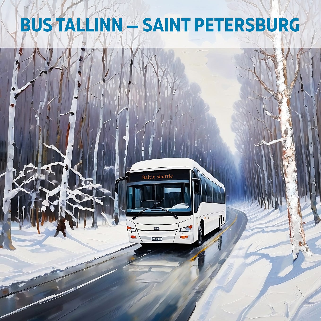 Tallinn — St Petersburg Bus Route Information - Baltic Shuttle Bus ...