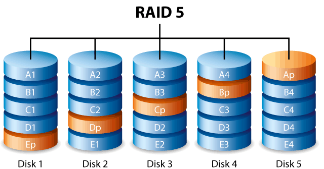 NEVER Use A RAID As Your Backup System!- Pete Marovich Images