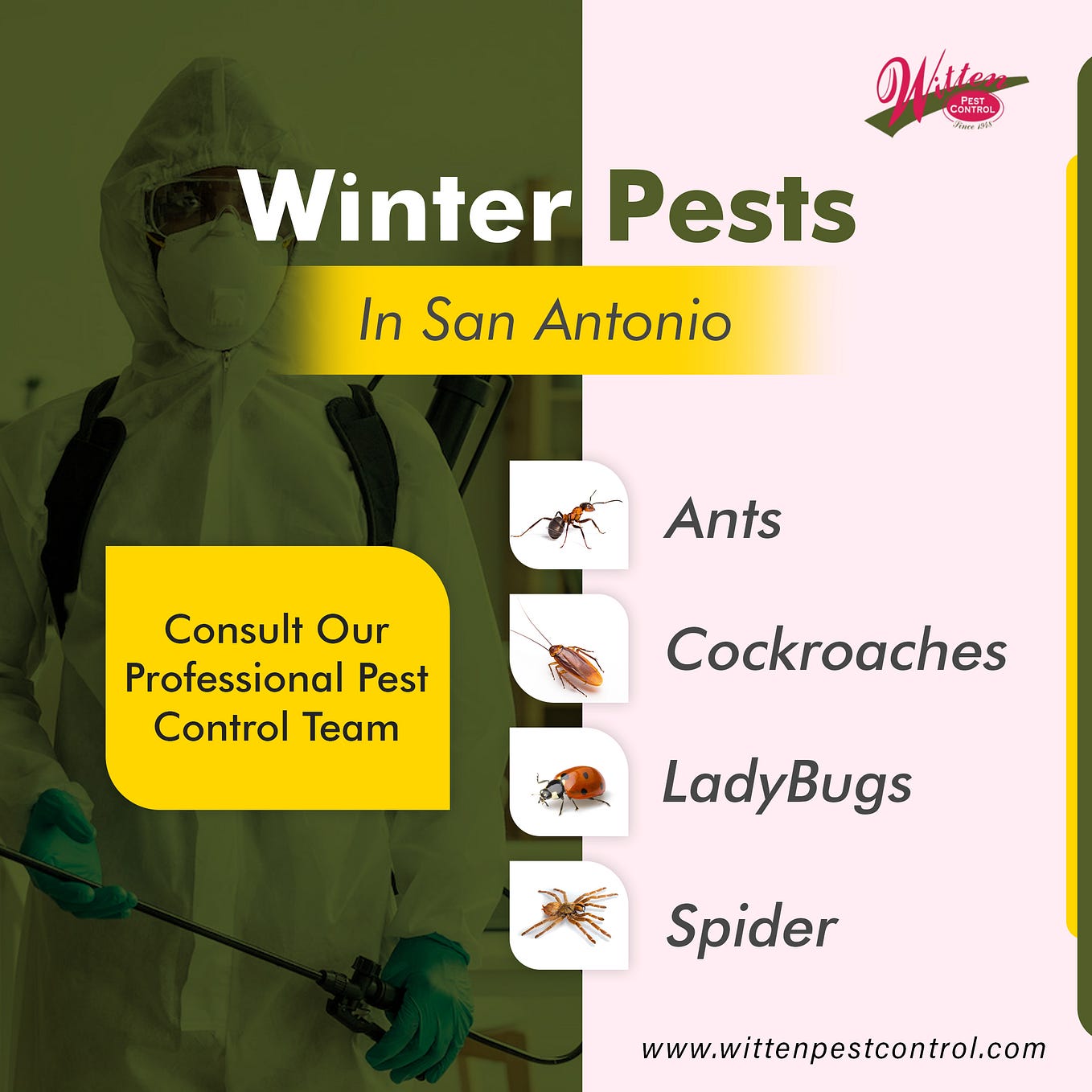 Pest Control Floresville — San Antonio WittenPestControl Medium