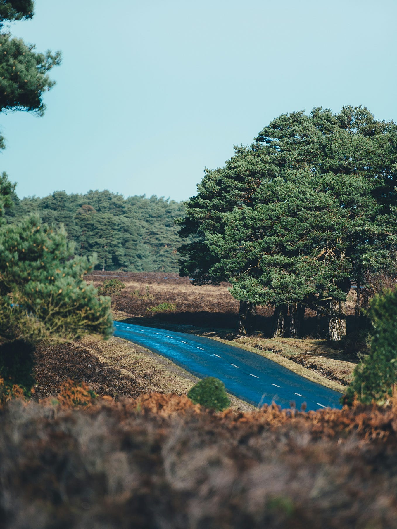 Essentials of Building Digital Elevation Models with Python | by ...