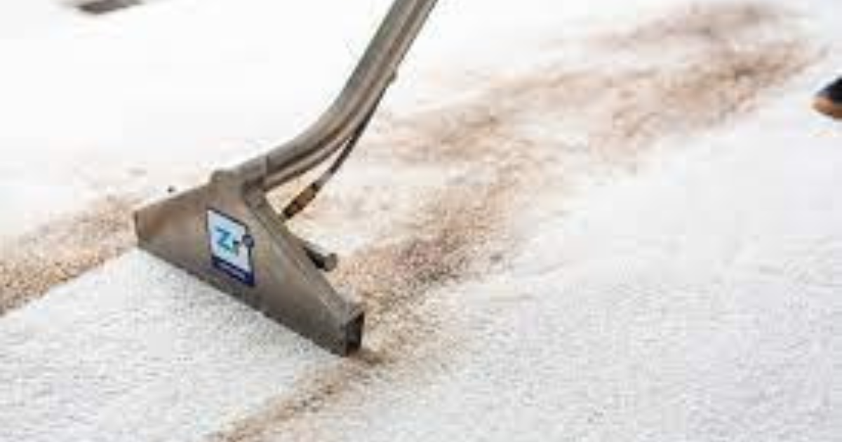 Expert Carpet Cleaning Solutions in Cranbourne — Transform Your Carpets by Carpet Cleaning
