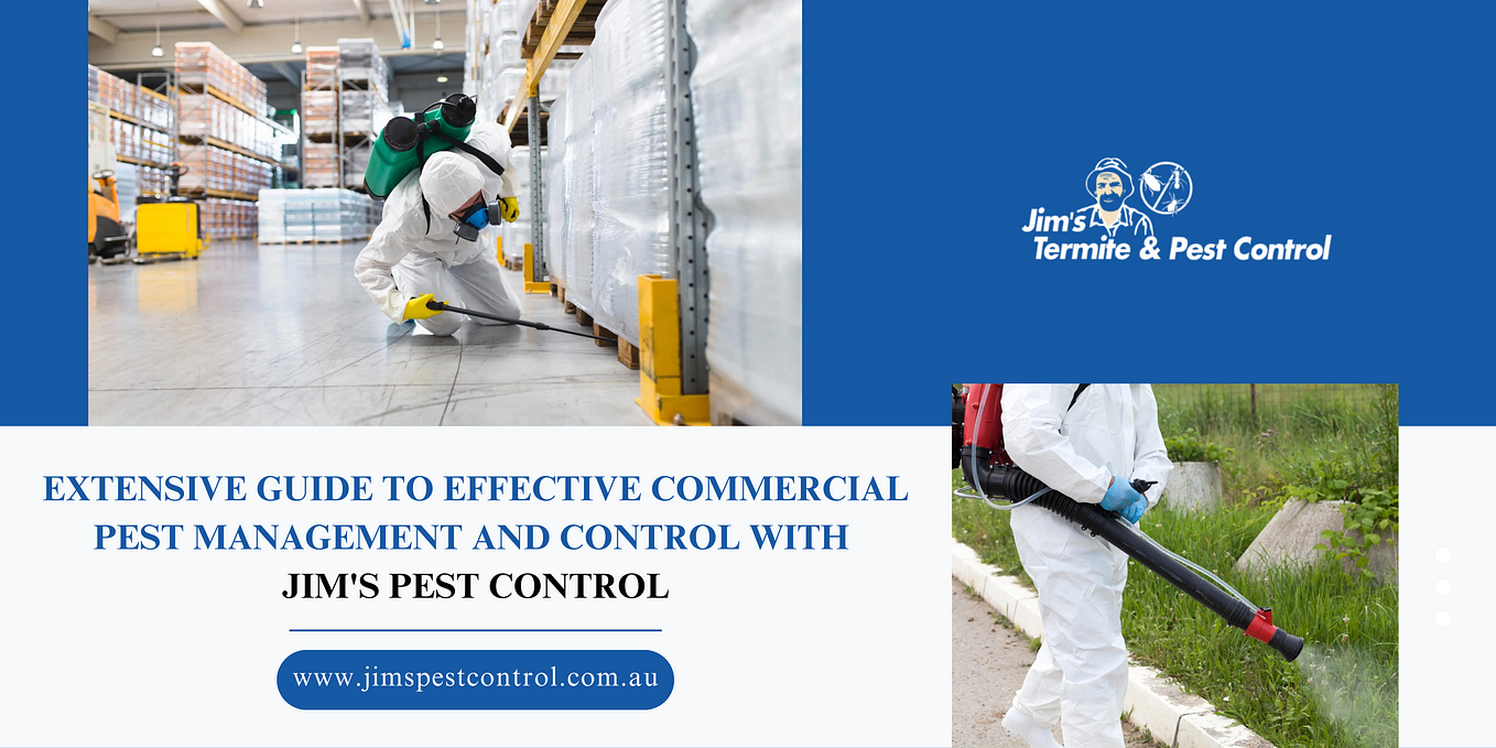 Choose the Right Mice Exterminator for a RodentFree Home by Jim’s