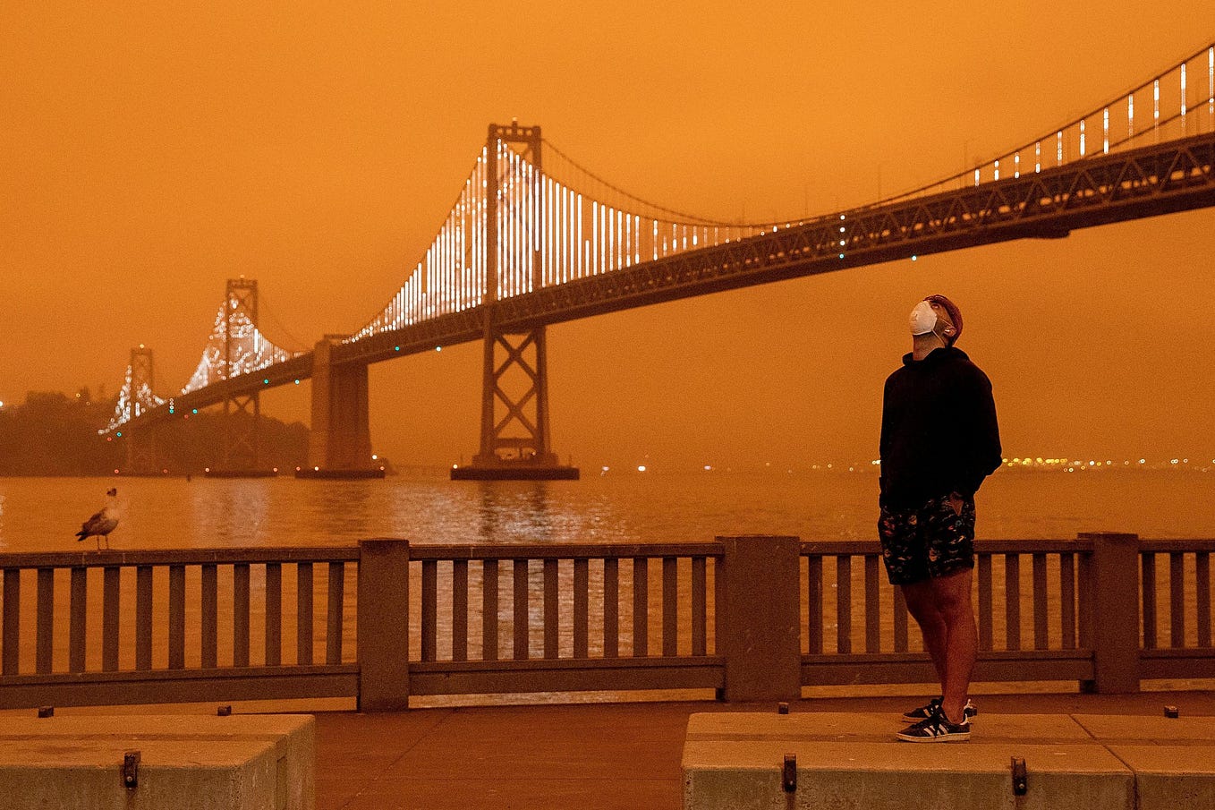 The Missing Stage of Grief