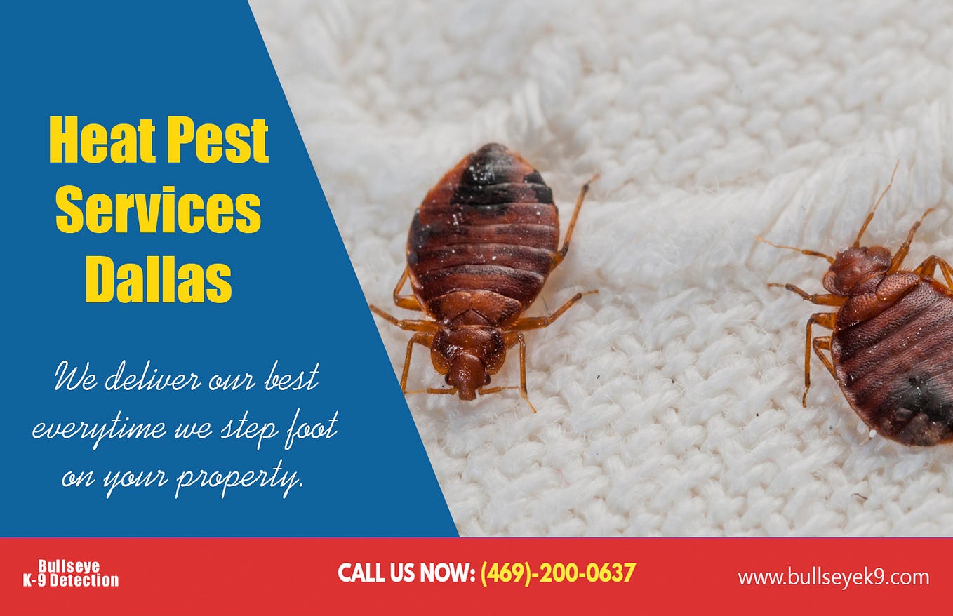 bed bug heat treatment cost. Affordable bed bug heat treatment cost