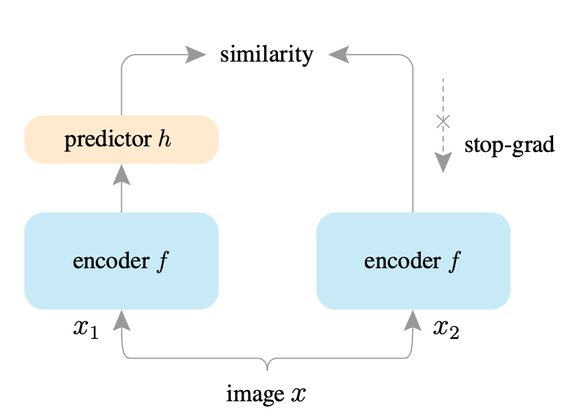 Implementing Auto Encoder from Scratch | by Kartheek Akella | Medium