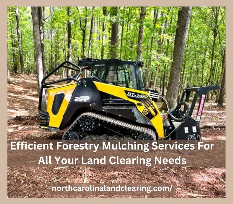 Unleashing the Potential of Your Murphy, NC Property The Benefits of Land Clearing by North