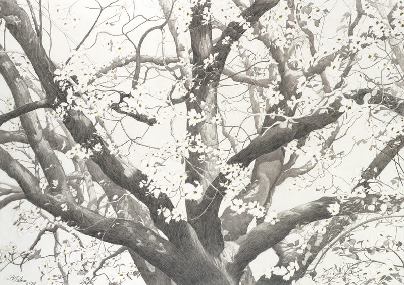 the-greatest-high-school-basketball-team-ever-by-university-of