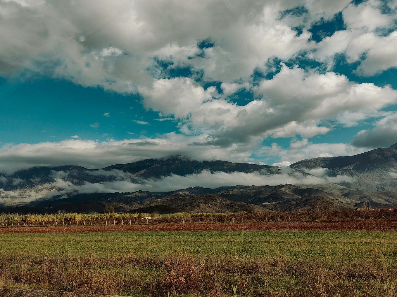 What an inspiring message! Embracing change and creativity is key for a