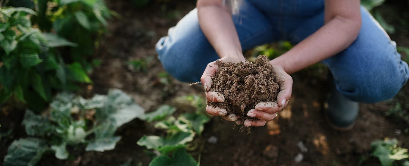 Is your food brand serving the planet?