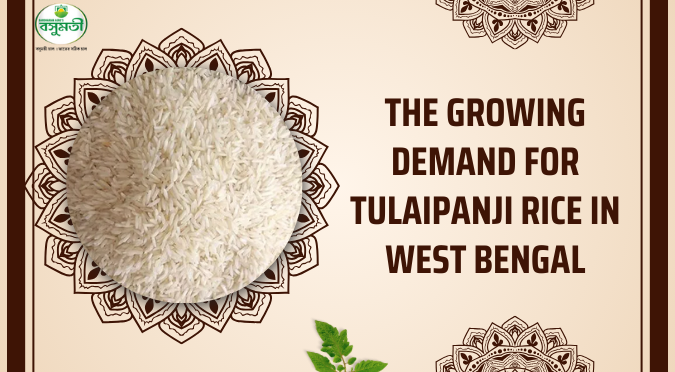 Top 3 Reasons Why Basmati Rice is the ‘Best Rice in the World’? | by ...