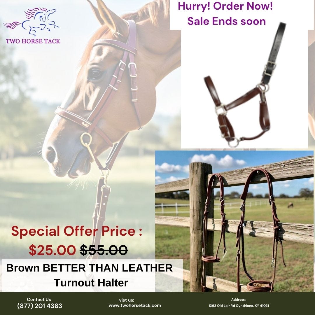 The Ultimate Guide to Horse Halters A Closer Look at Two Horse Tack