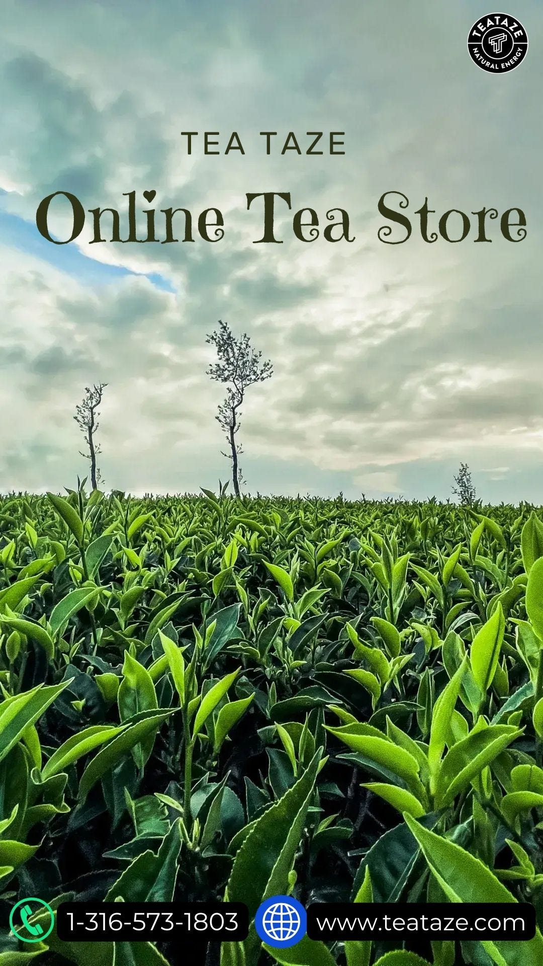 Sip and Shop Navigating the Best Online Tea Store Experience with