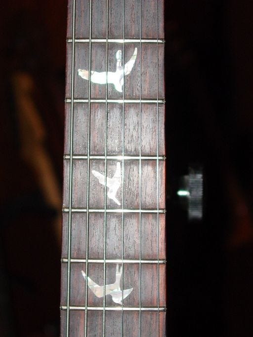 Why Do Guitars Have Fret Markers? It’s Kind of Complicated by Jon