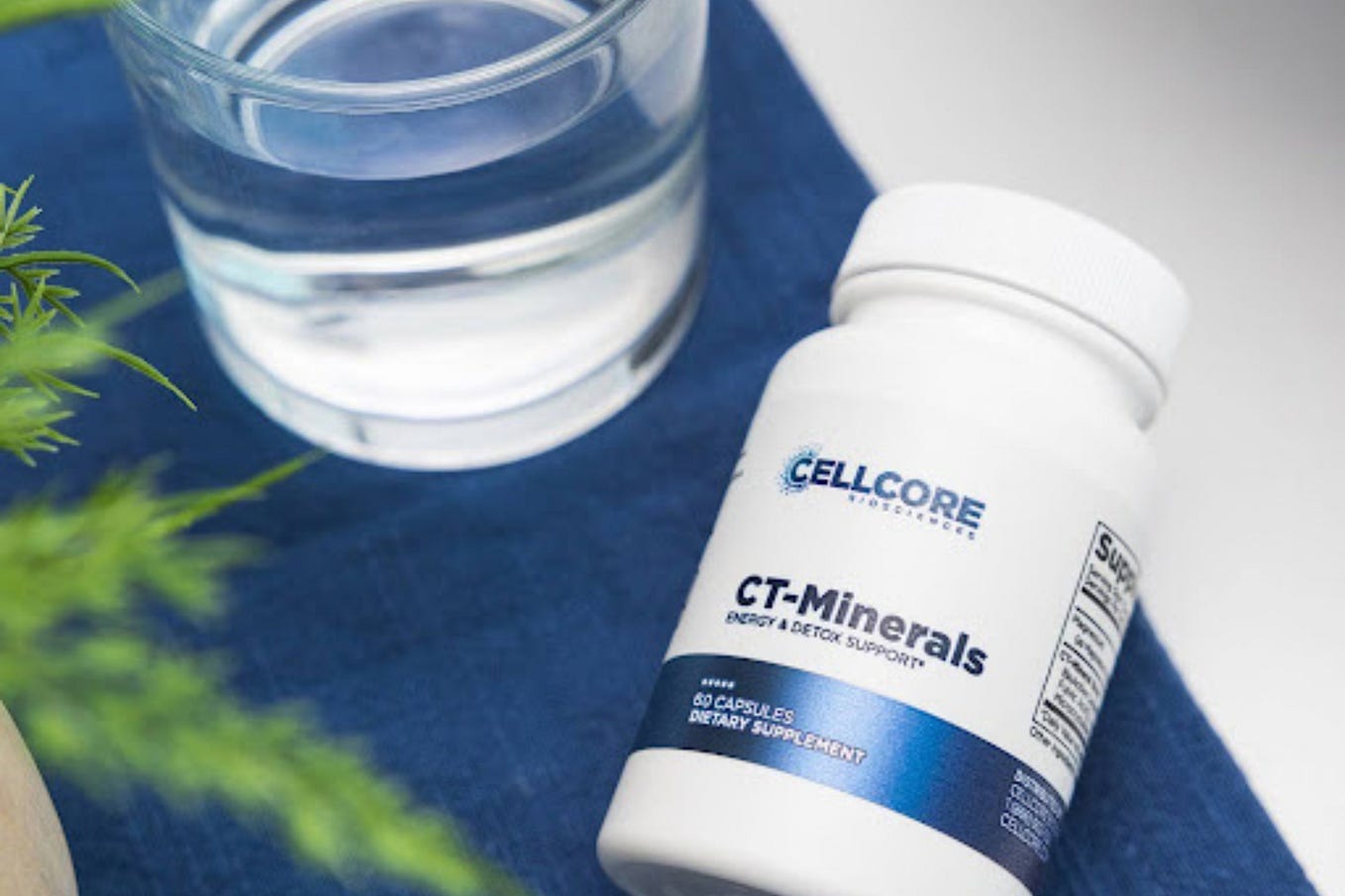 LesserKnown Facts About Cellcore Biotoxin Binder and Its Side Effects