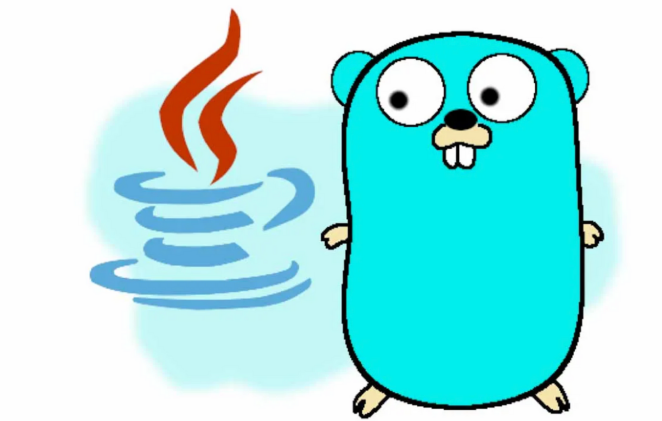 Golang: Ensuring Data Integrity with Access Proxies | by Homayoon ...