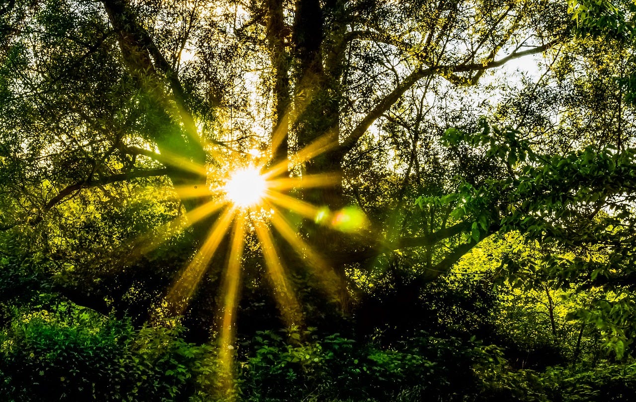 🌹 ️🌹 We are so cool in our way 😅 Sarah Kyomugisha Medium