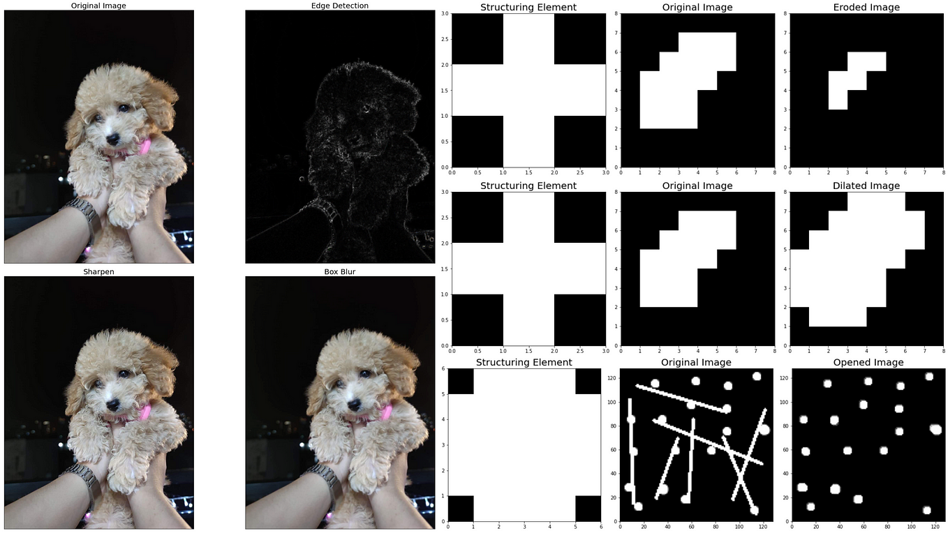 Introduction to Image Processing with Python | by Erika Lacson | Python ...