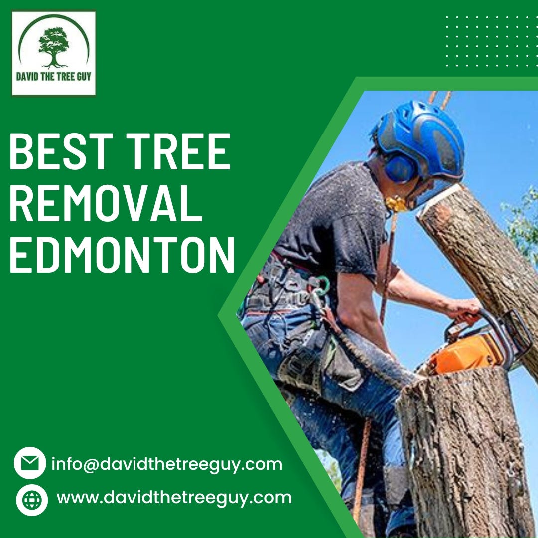 Best Active Tree Services Edmonton David The Tree Guy Medium