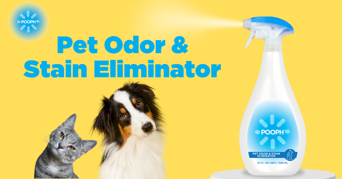 5 Ways to Eliminate Pet Odor in Your Home by POOPH Nov, 2023 Medium