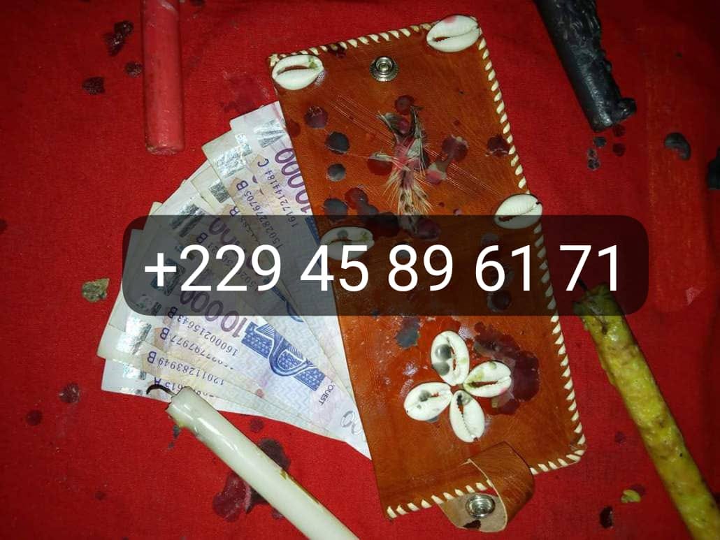 LE VRAI PORTEFEUILLE MAGIQUE 2024.2025- COMMENT AVOIR LE PORTEFEUILLE