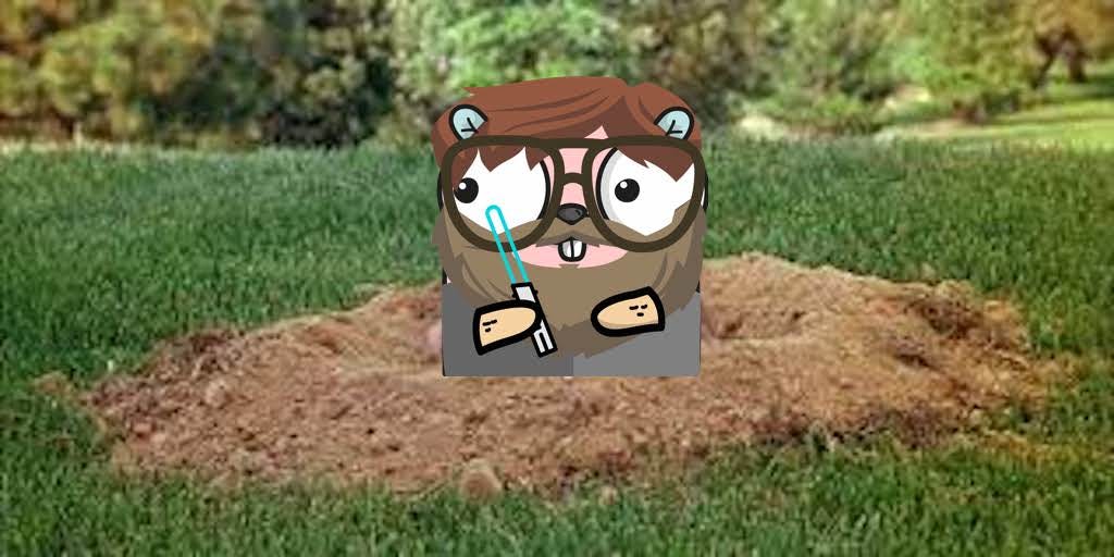 Emerging from my Gopher Hole