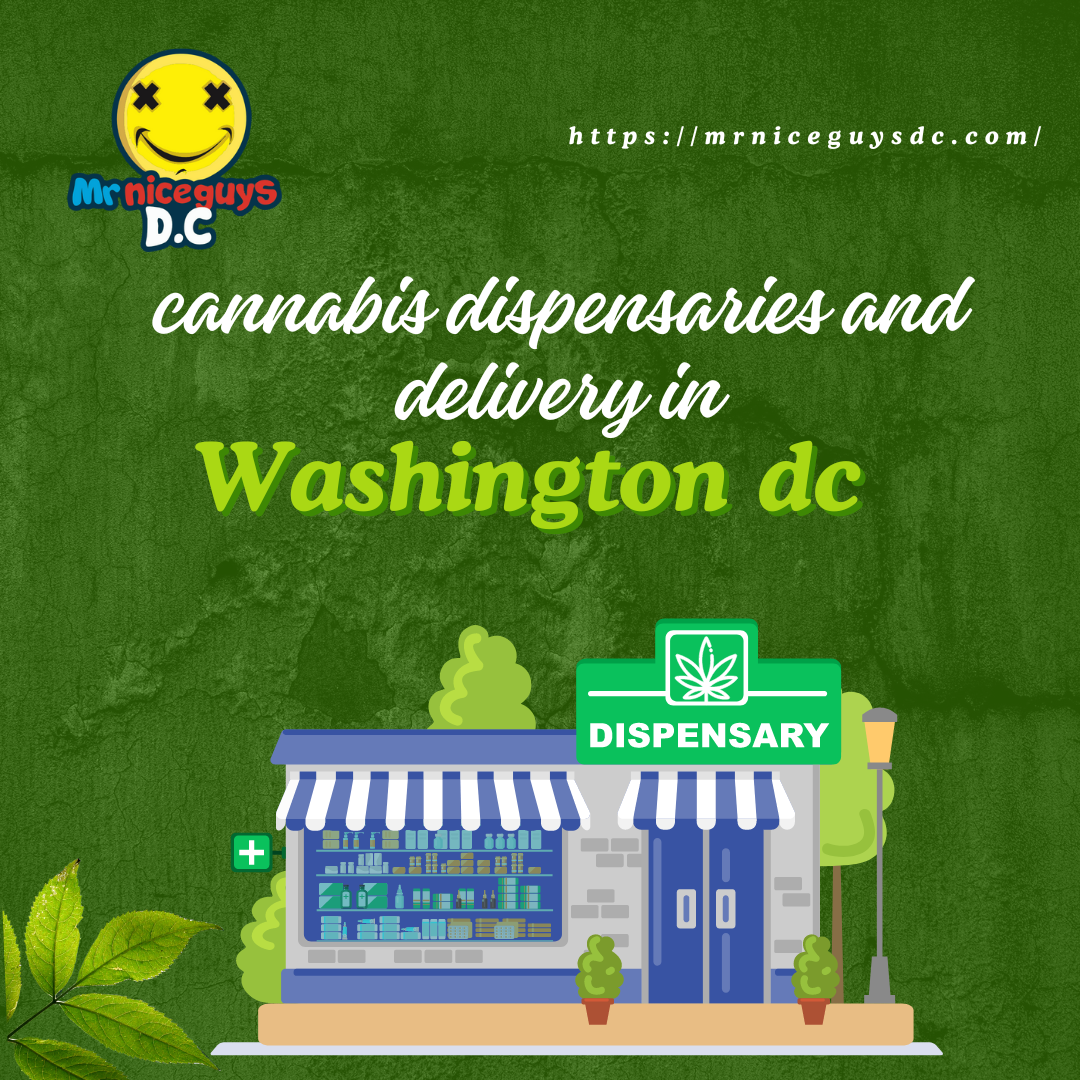 Exploring Recreational Weed Stores and Delivery Services in Washington