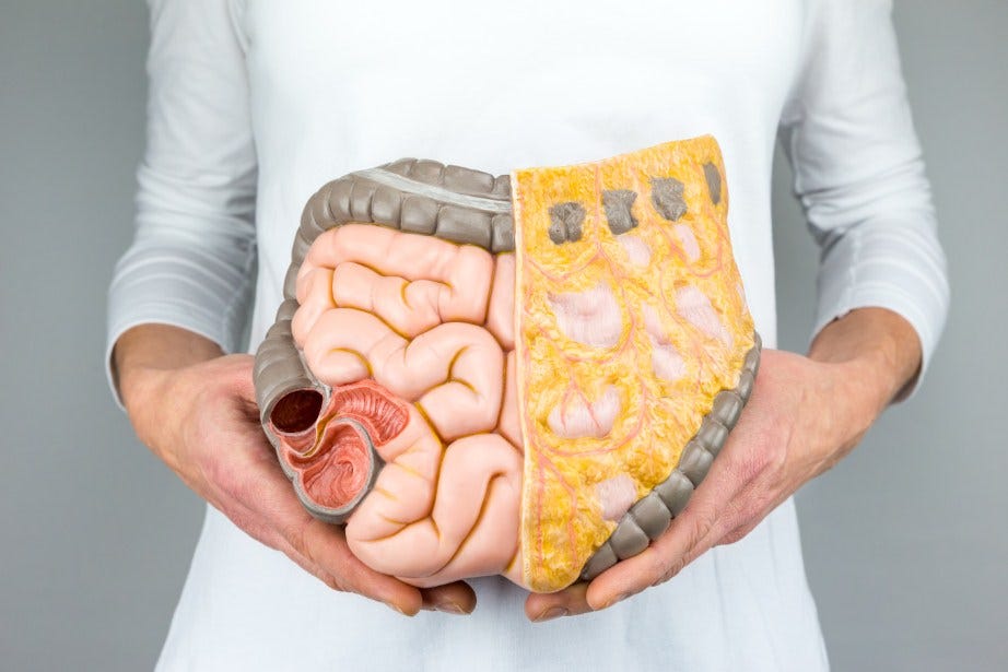 Pembroke Pines Gastroenterologist — Digestive Medicine Associates (305