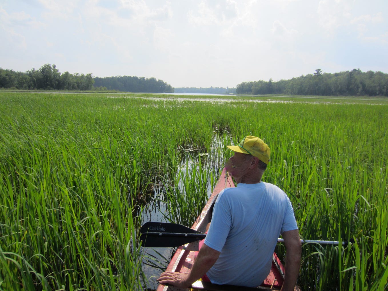 Use Your Free Will To LOVE it Will Help With Disclosure And The 3D use-your-free-will-to-love-it-will-help-with-disclosure-and-the-3d