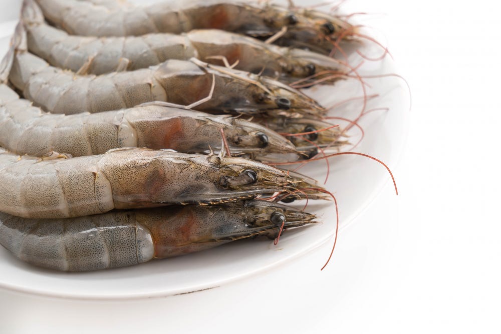 Exploring Global Waters The Role of Seafood Export Companies in Shrimp