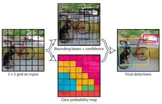 Exploring YOLOv3: Advancements in Real-Time Object Detection | by Alon ...