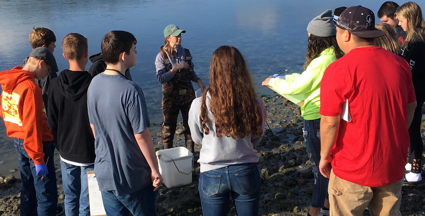 Resuming community science projects after a disaster - The Civic ...