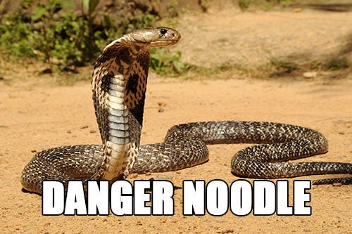 UT Business students are fighting snakes with memes. Here’s why.